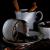 Kávové veštenie: interpretácia obrázkov na kávovej usadenine