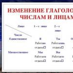 Значення слова обличчя Значення особи у російській мові